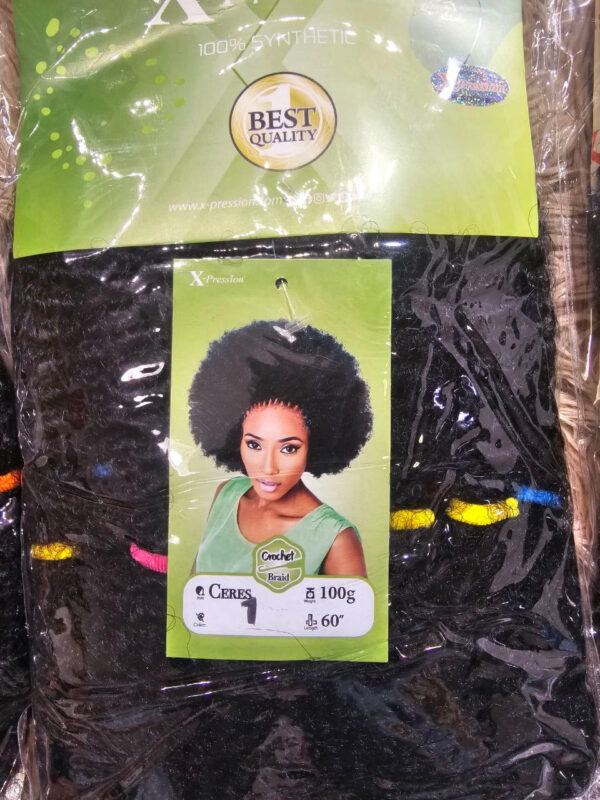 KINKIN TWIST X-PRESSION COLOR 1